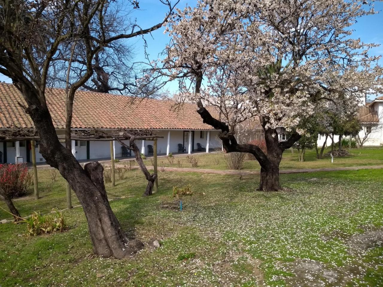 Hotel Plaza Malloa Kültér fotó